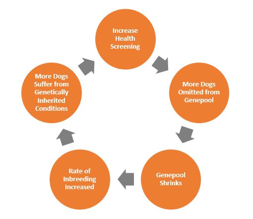 health testing and inbreeding circle